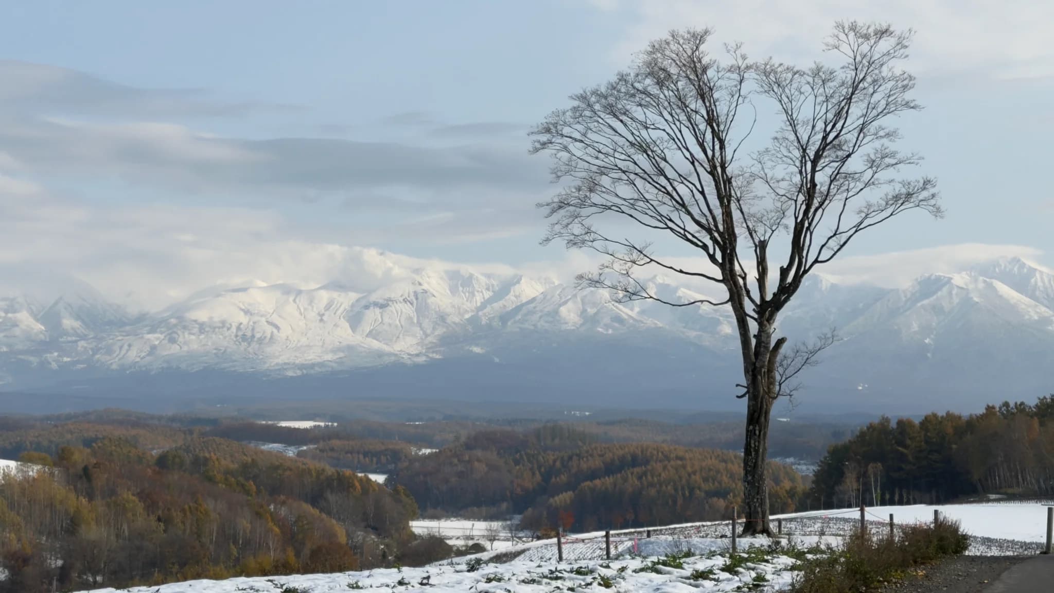 北海道での家族旅行
